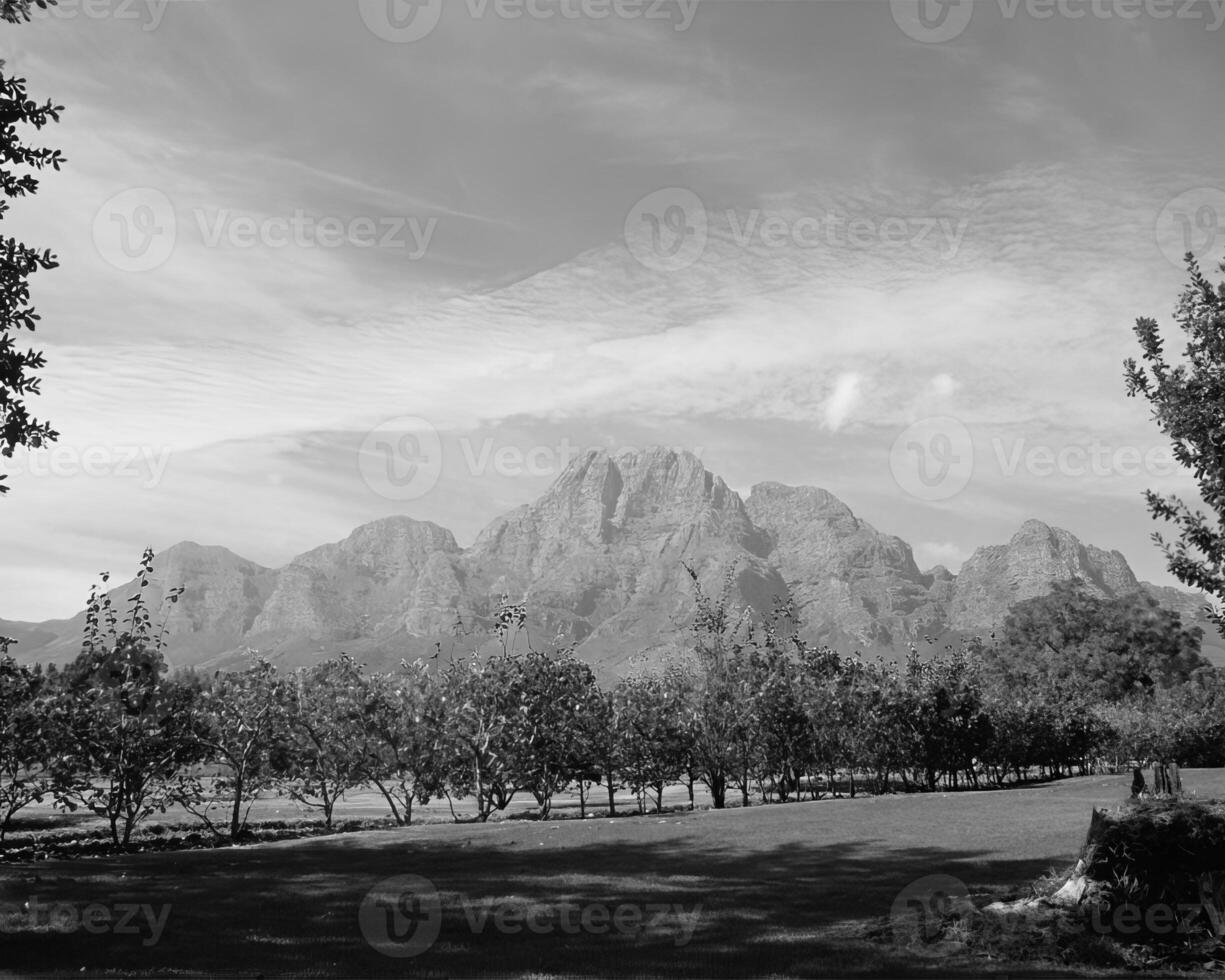 Landscape background. Black and white photo of beautiful nature
