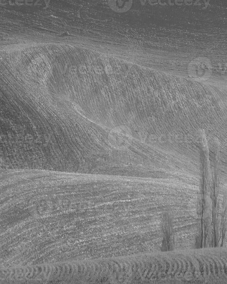 Landscape background. Black and white photo of beautiful nature