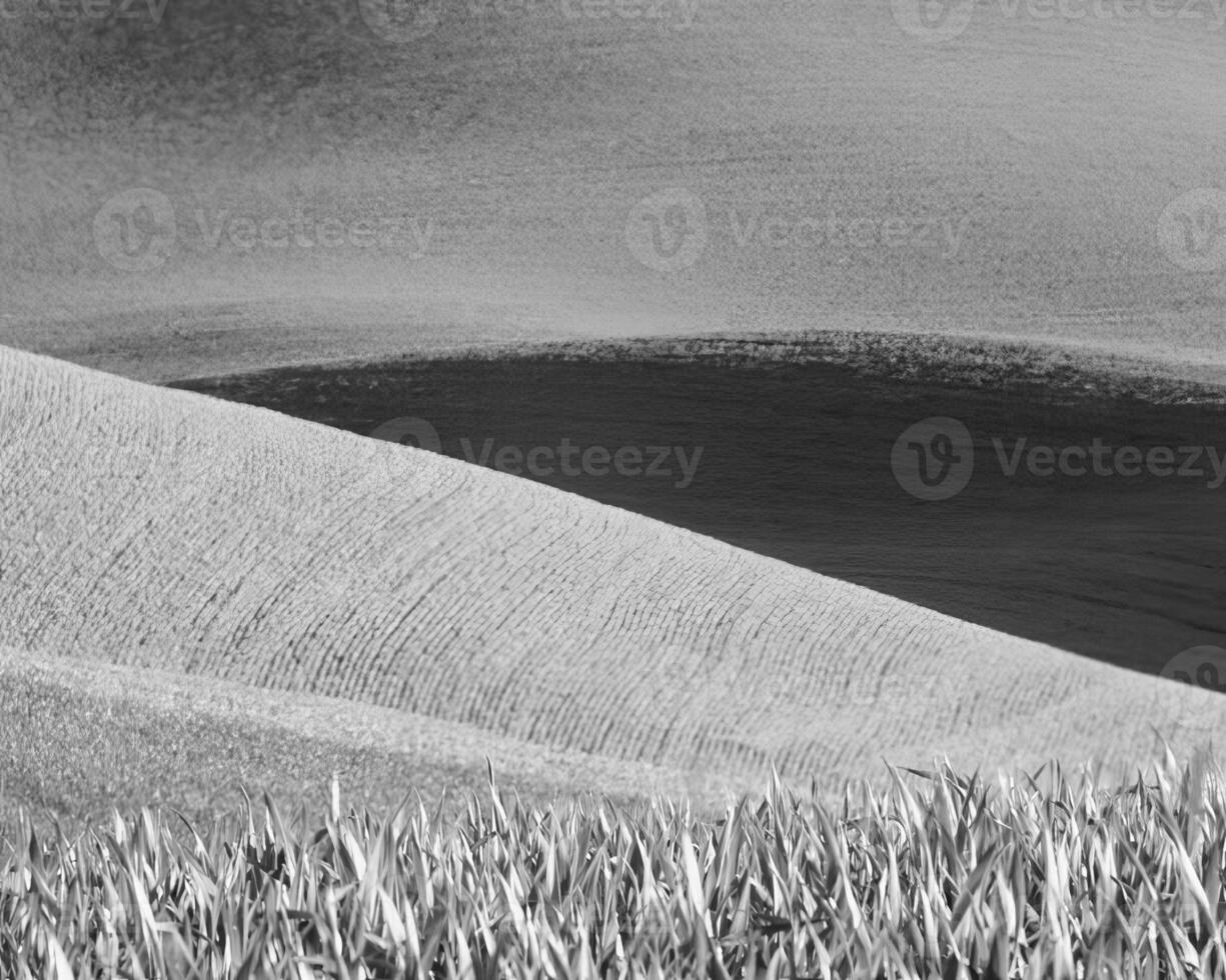 Landscape background. Black and white photo of beautiful nature