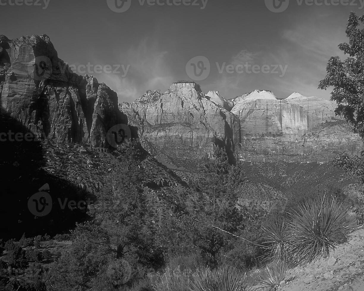 Landscape background. Black and white photo of beautiful nature