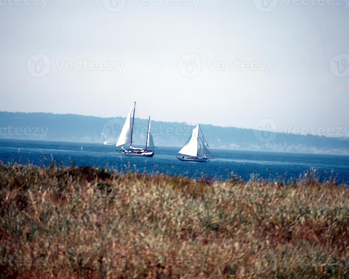 Landscape background. Photo of beautiful nature
