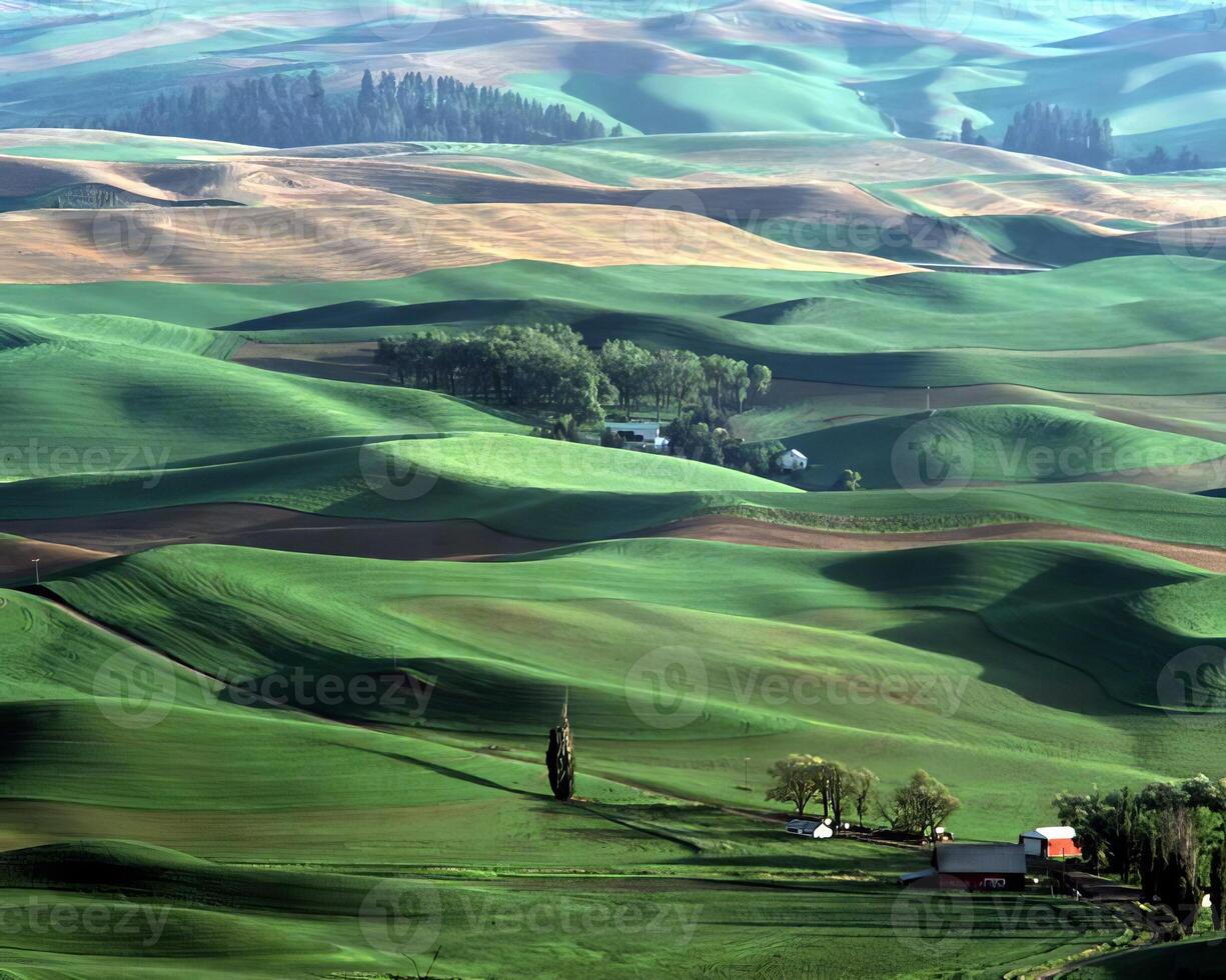 Landscape background. Photo of beautiful nature
