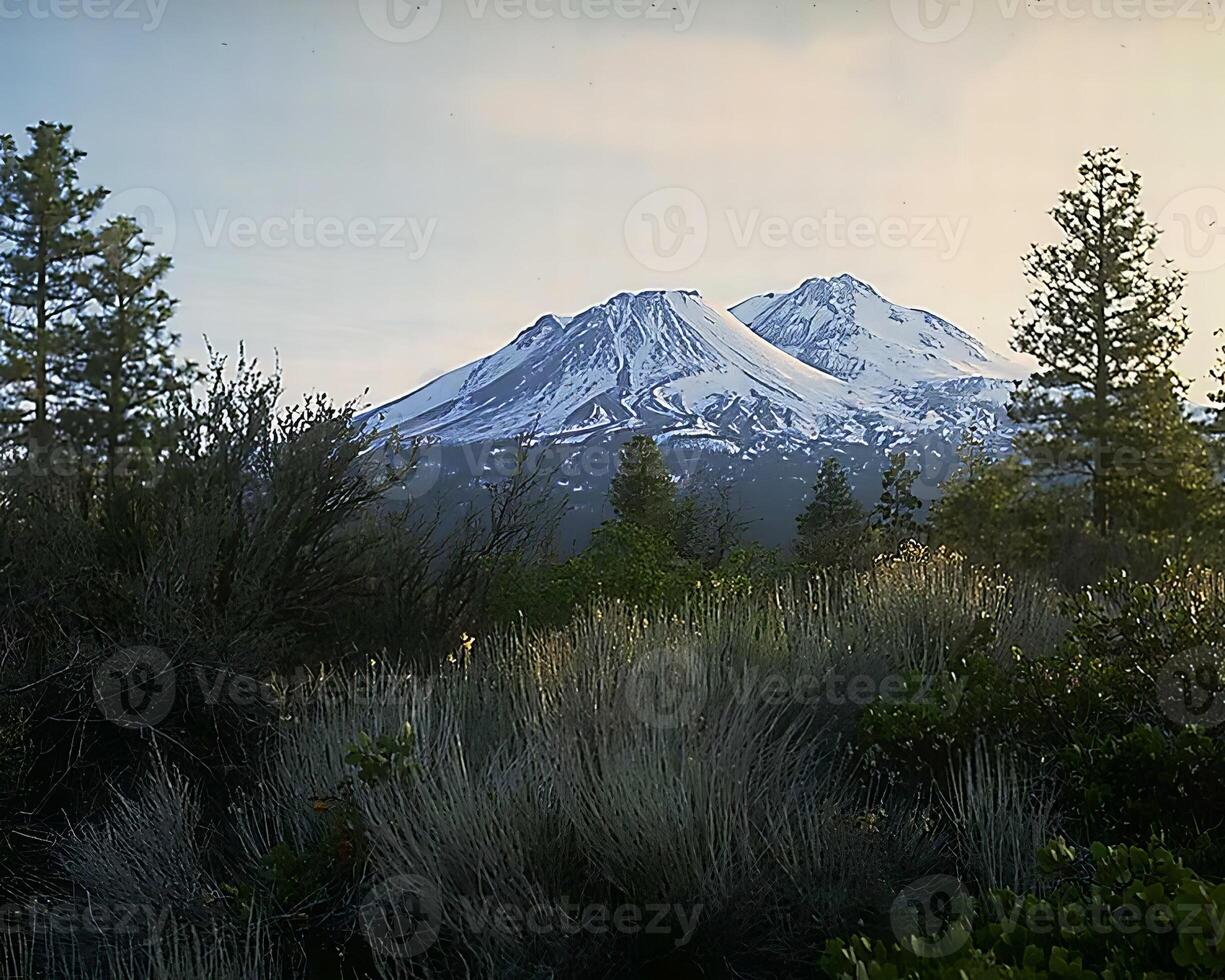 Landscape background. Photo of beautiful nature