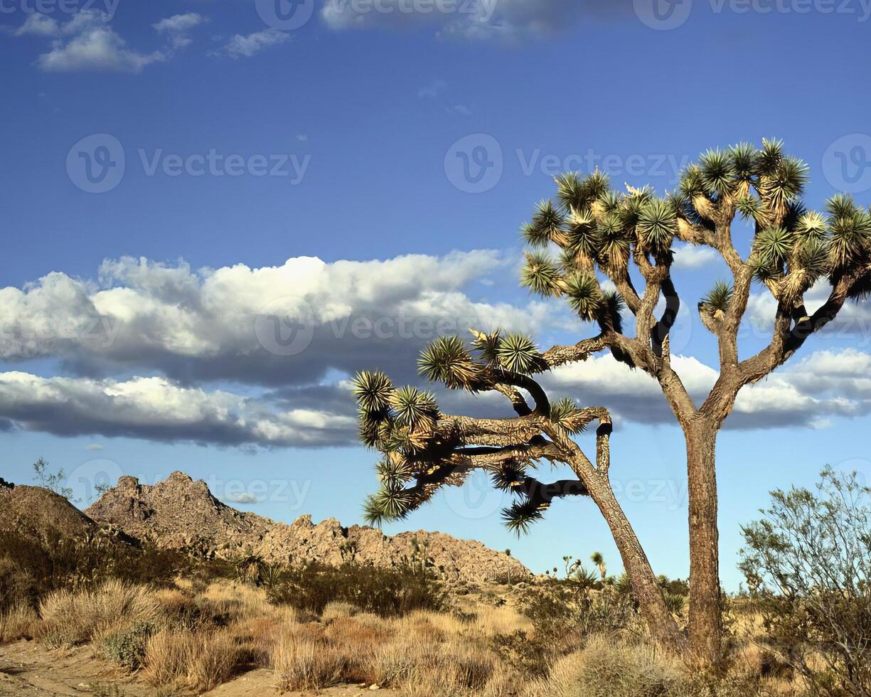 Landscape background. Photo of beautiful nature