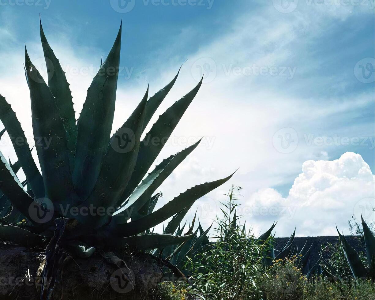 Flowers and plants close view background photo