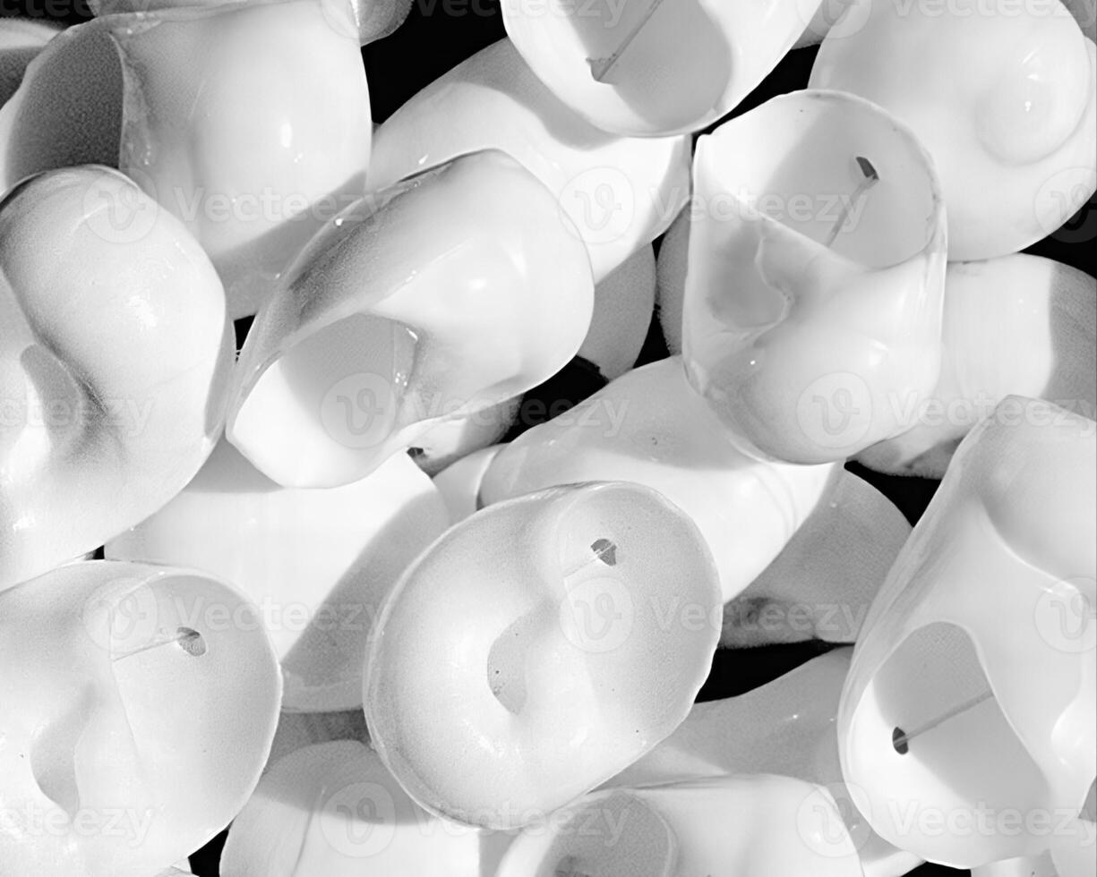 Sea shells close view. Sea shell marine black and white photo background