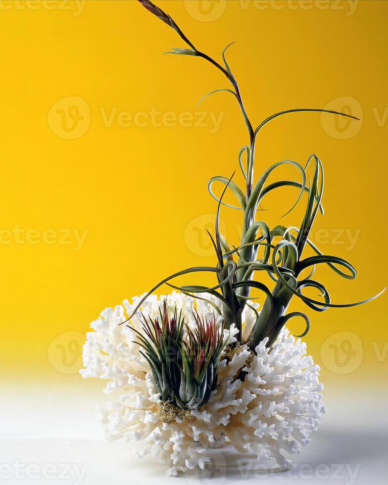 Flowers and plants close view background photo