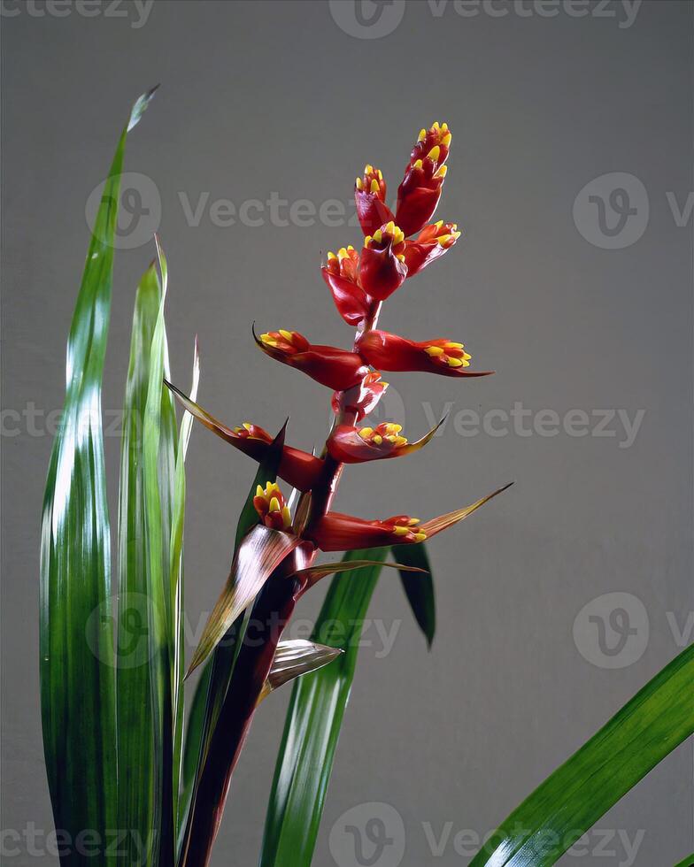 Flowers and plants close view background photo