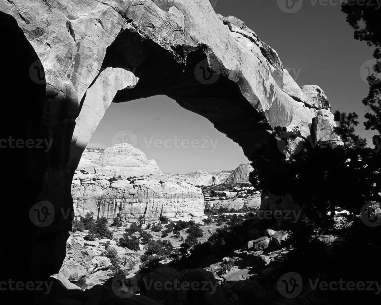 Rocks and stones close view black and white photo background