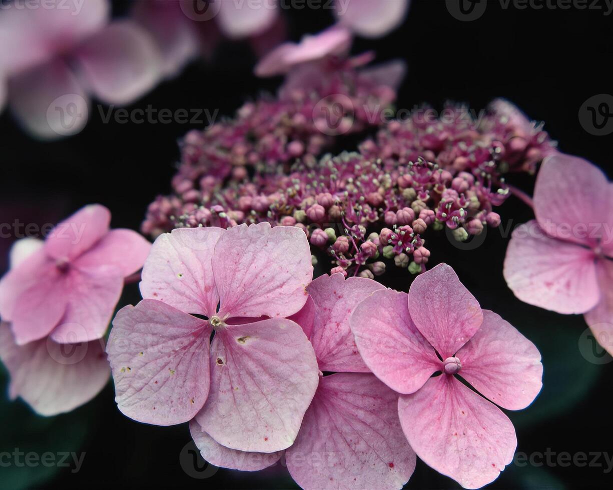 Flowers background. Colorful summer flowers close view photo