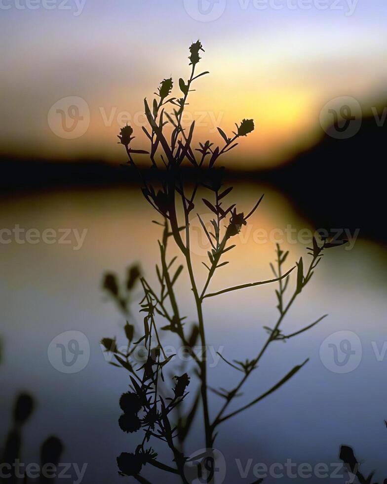 Trees in the forest and leaves, natural background photo