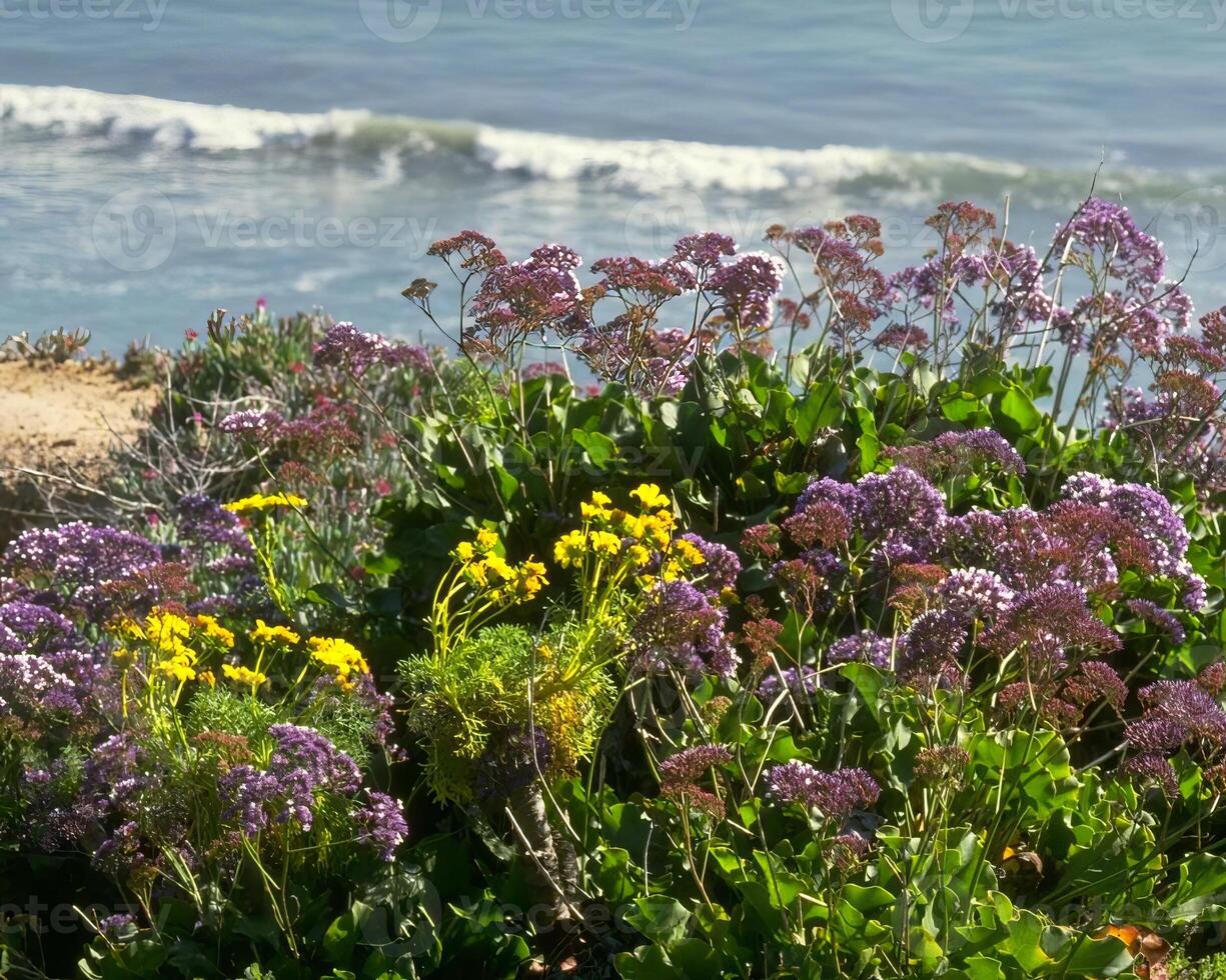 Flowers background. Colorful summer flowers close view photo