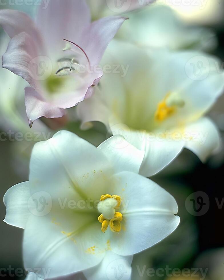 flores antecedentes. vistoso verano flores cerca ver foto
