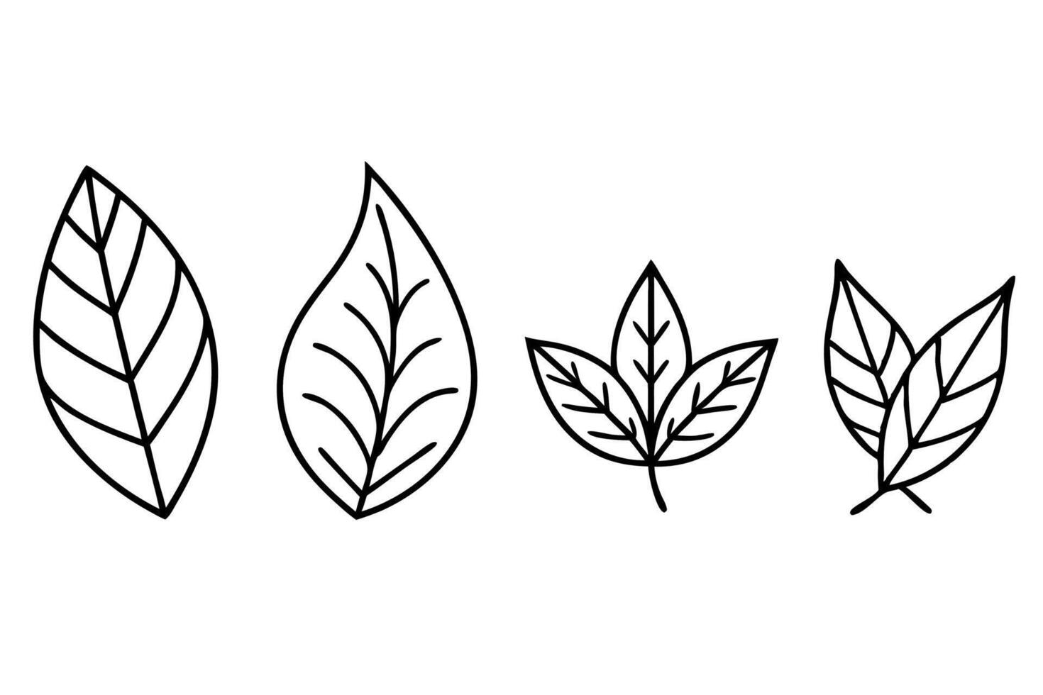 Tea leaves line art food illustration simple charm vector