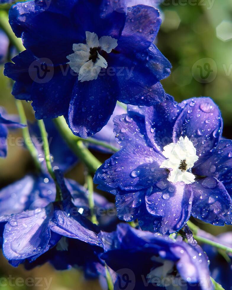 Flowers background. Colorful summer flowers close view photo