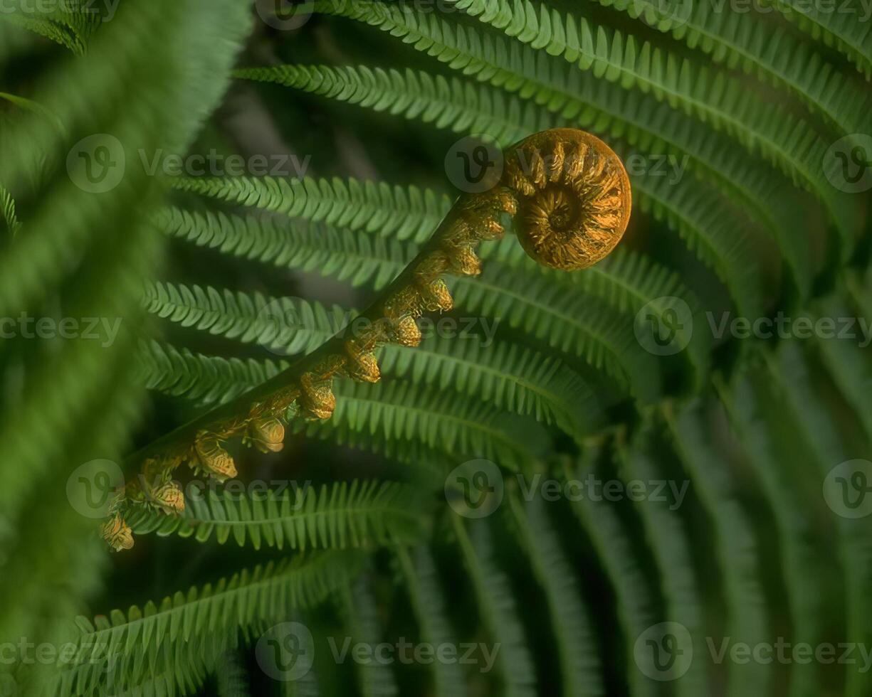 Green leaves close view natural background. Flora in nature photo