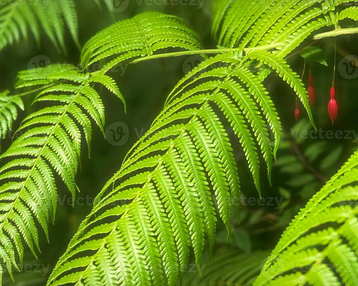 Green leaves close view natural background. Flora in nature photo