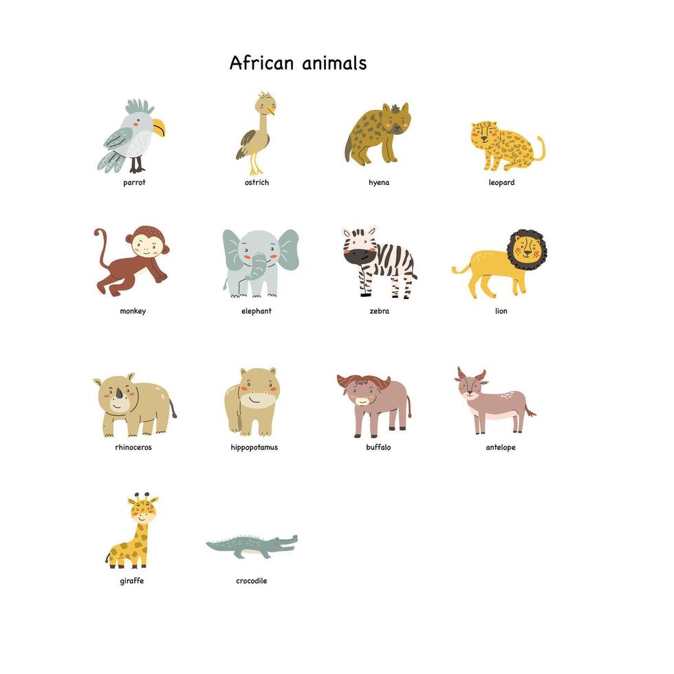 Childrens animal card for education. Kindergarten design. Cute african animal flash card on english language. Funny cartoon character poster for kids room with quotes. vector