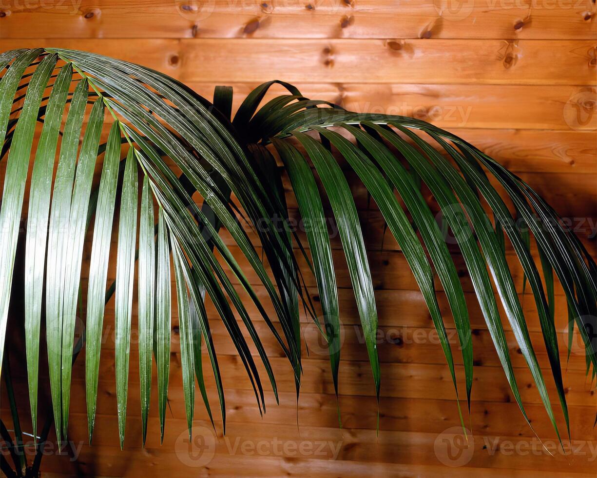 Green plants close view background. Natual plant photo