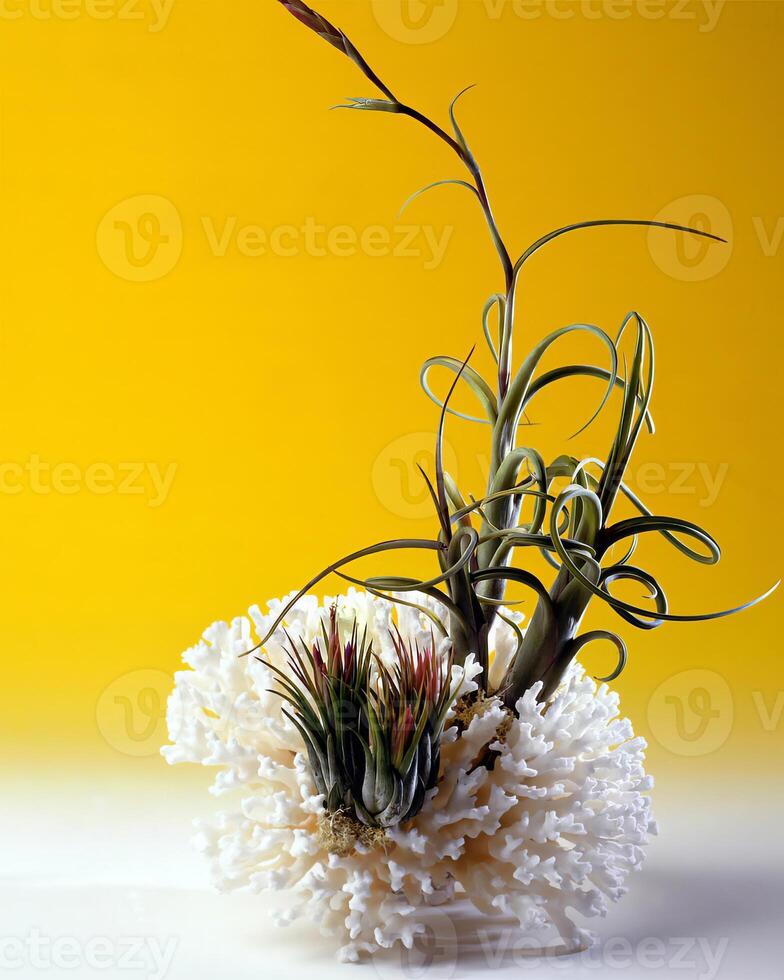 Flowers close view, natural plants background photo