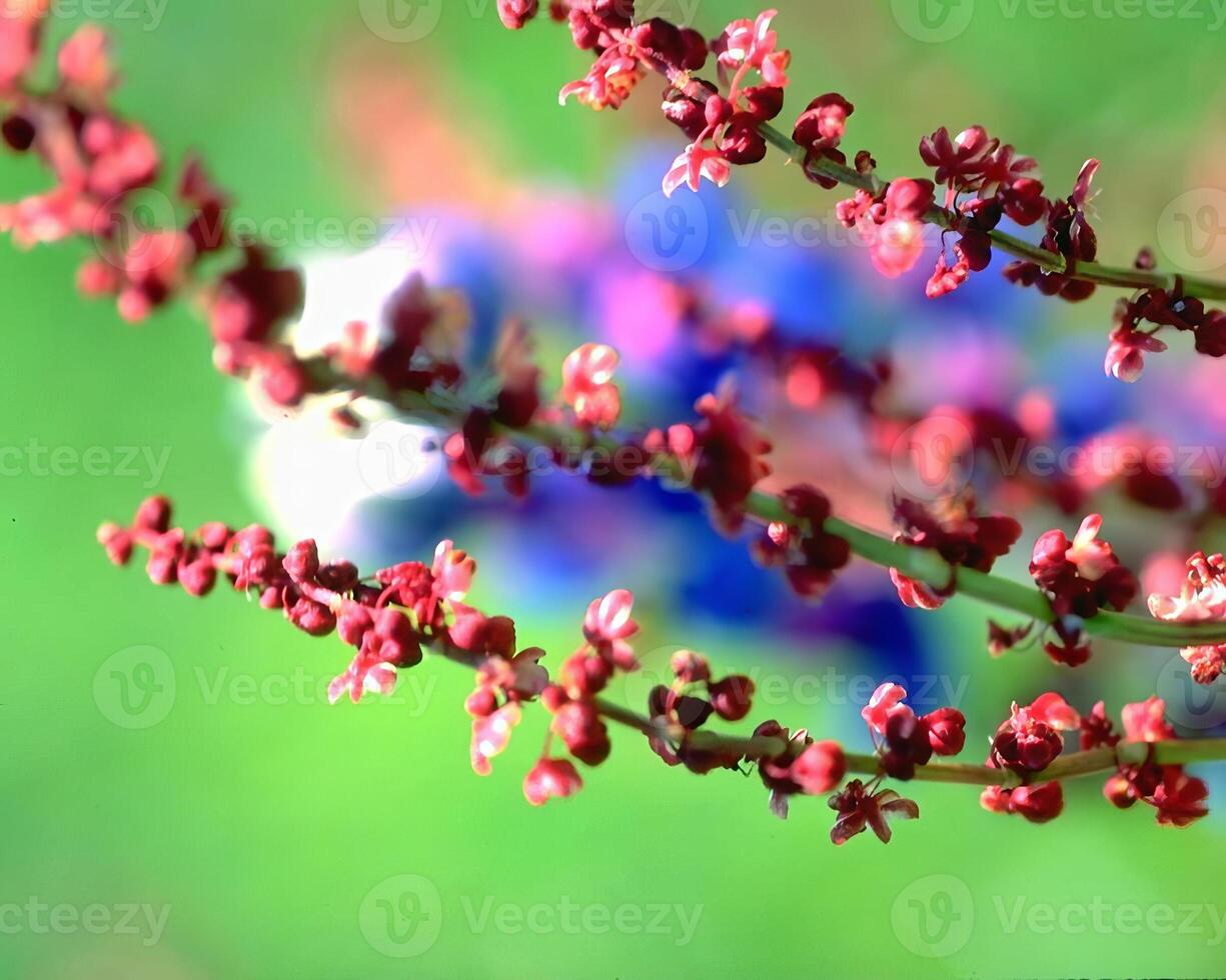 Flowers close view, natural plants background photo