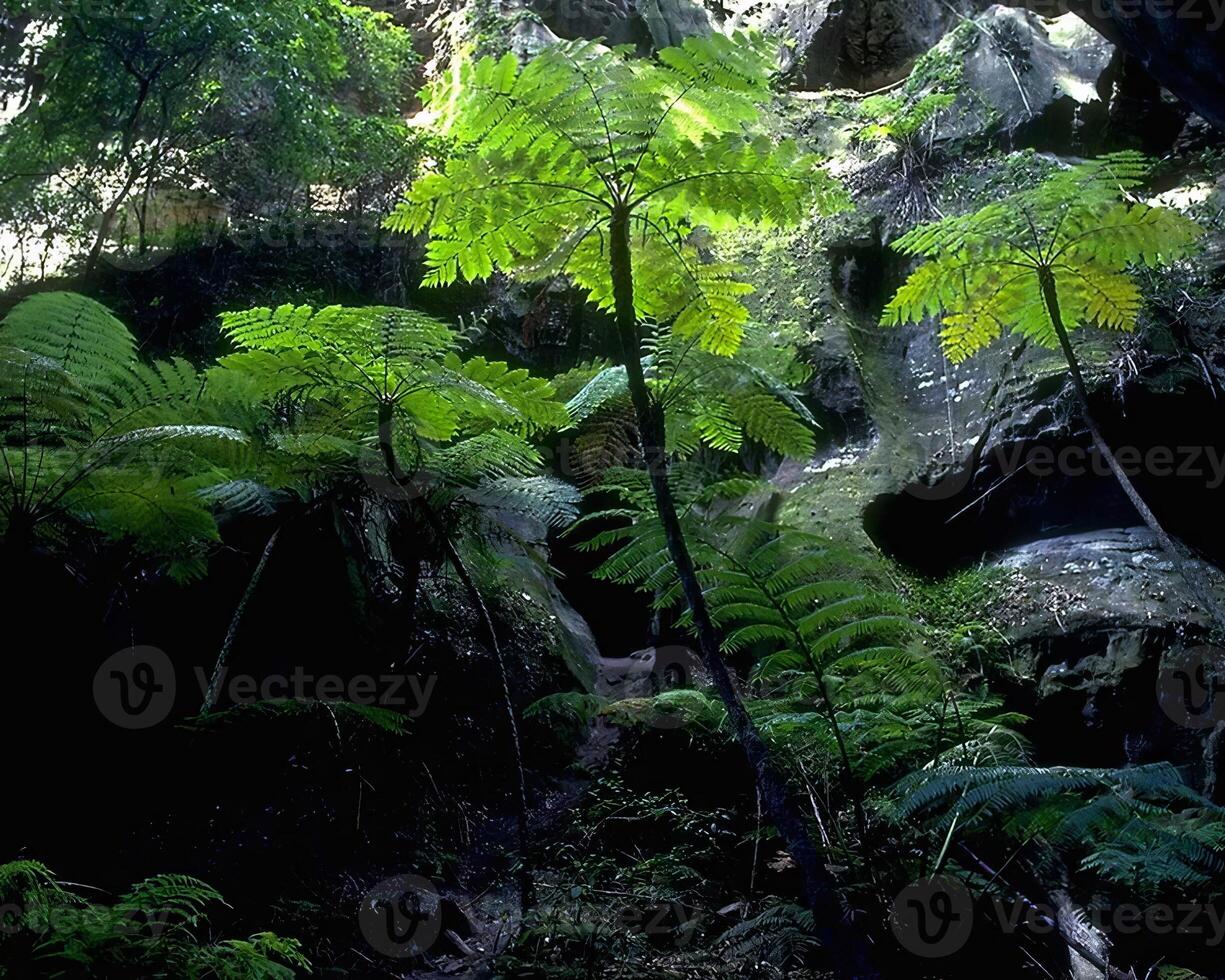Green plants close view background. Natual plant photo