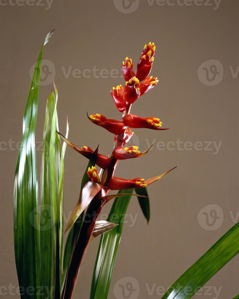 Flowers close view, natural plants background photo