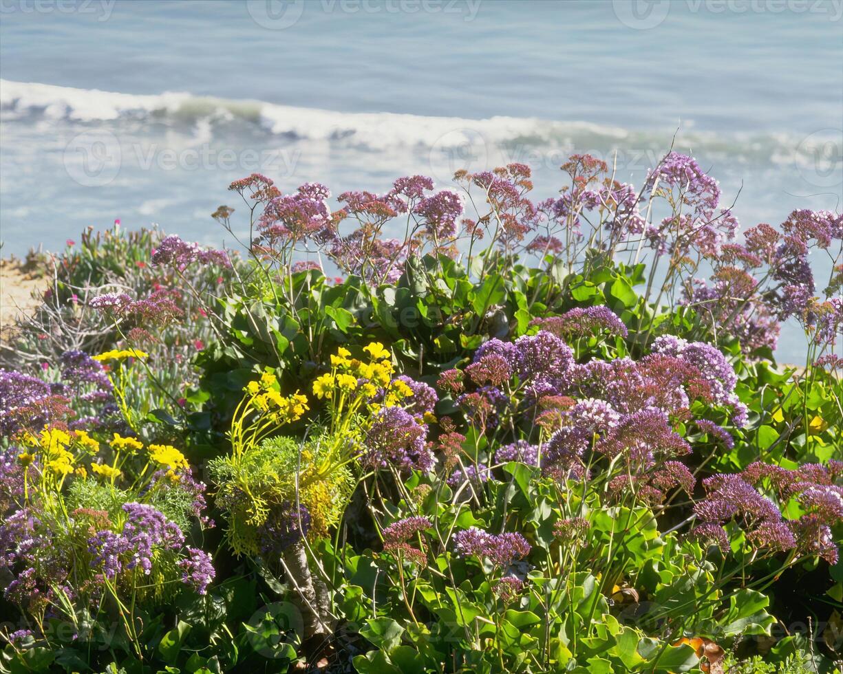 Flowers close view, natural plants background photo