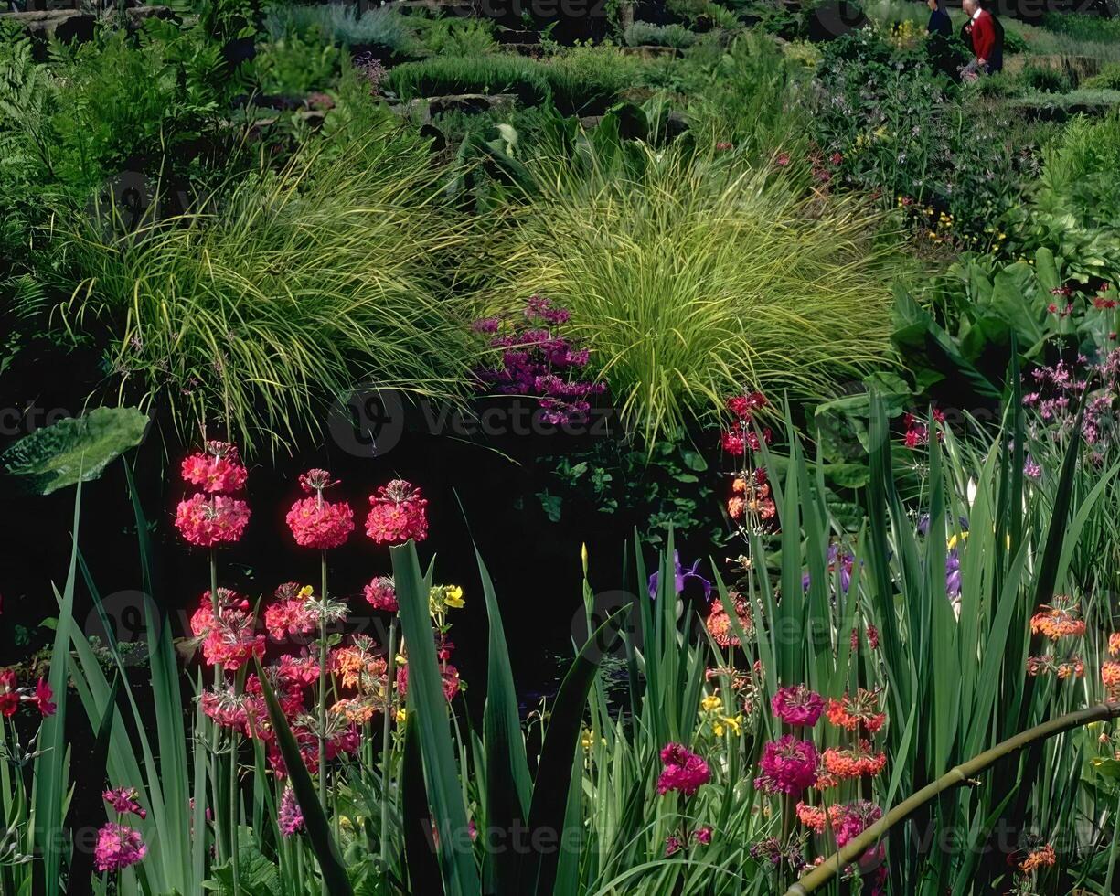 Flowers background. Colorful summer flowers close view photo