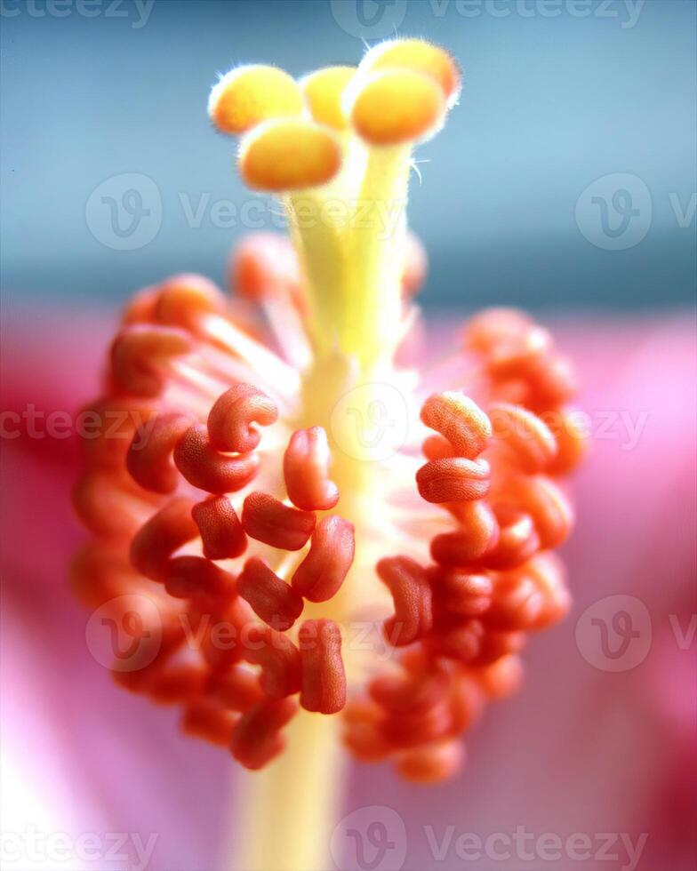 Flowers close view, natural plants background photo