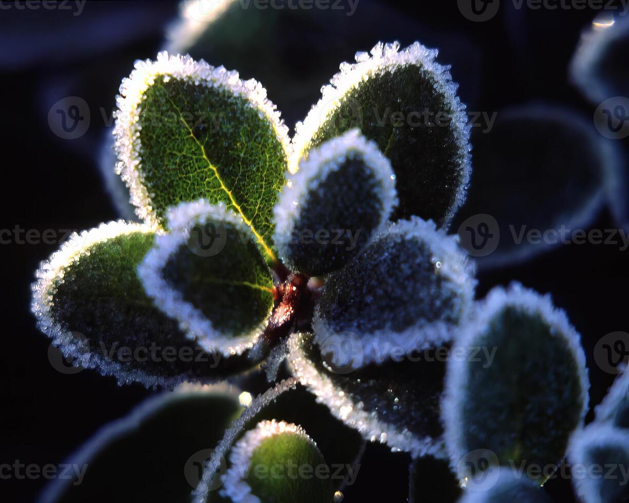 Flowers close view, natural plants background photo