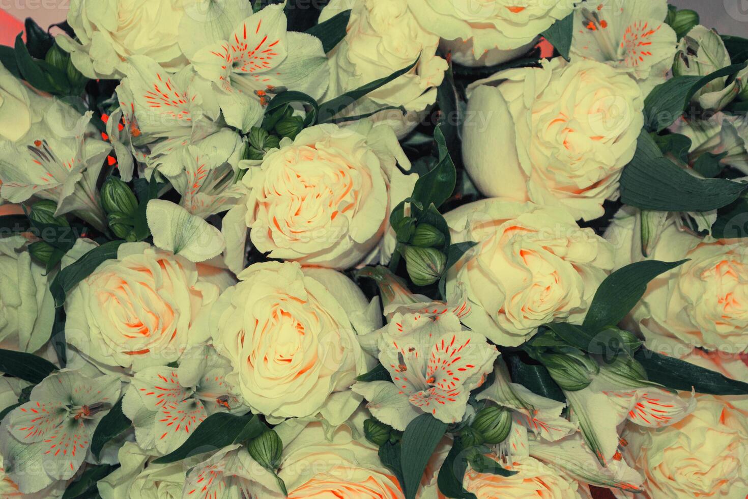 Summer blooming roses on blooming flowers festive background, bouquet floral card photo