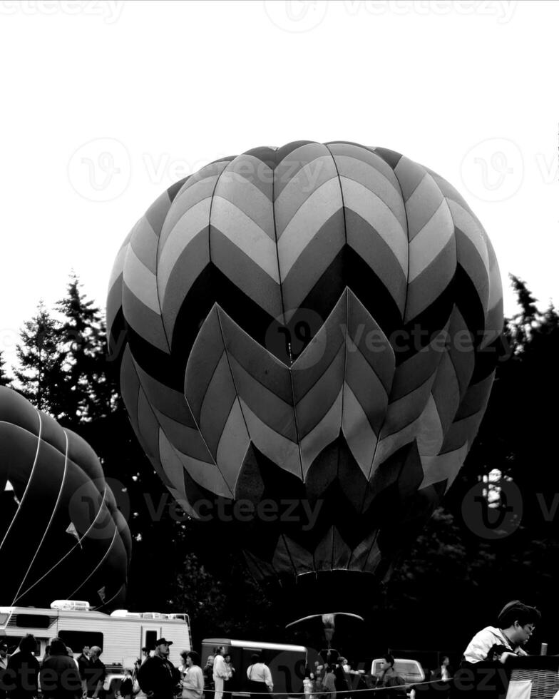 Black and white hot air balloons background photo
