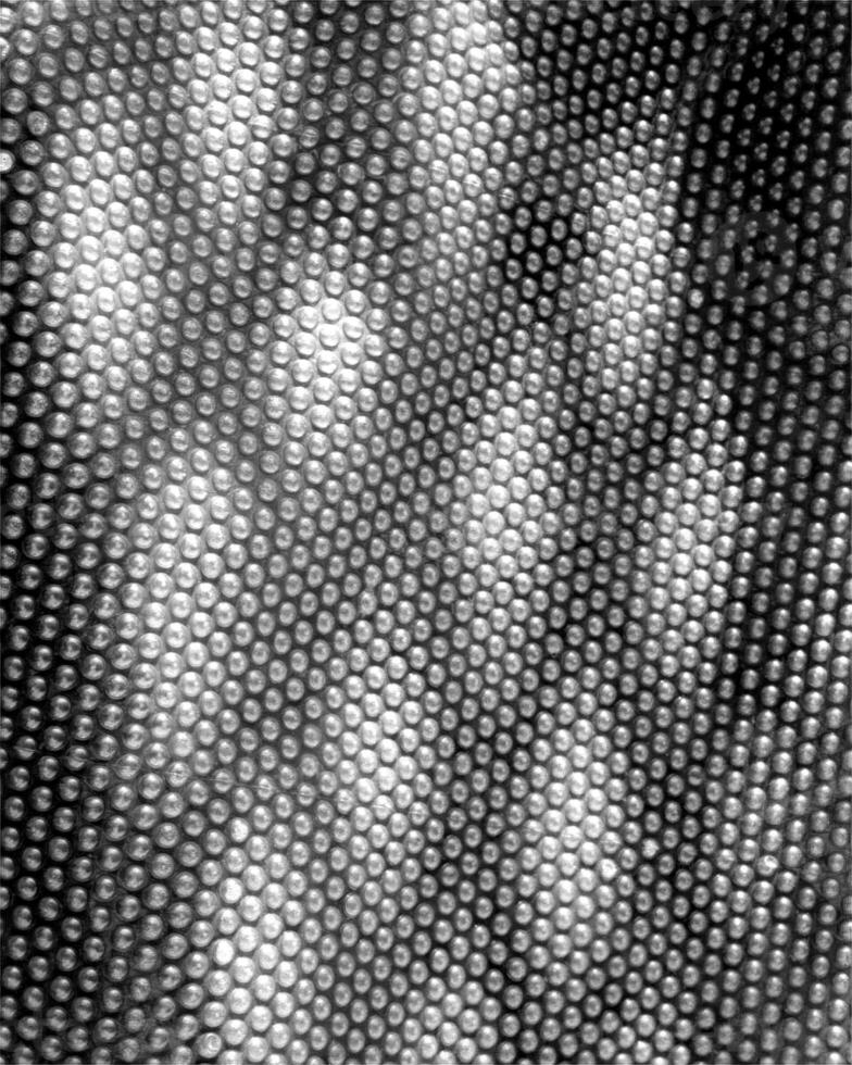Abstract black and white monochrome light background for presentation covers photo