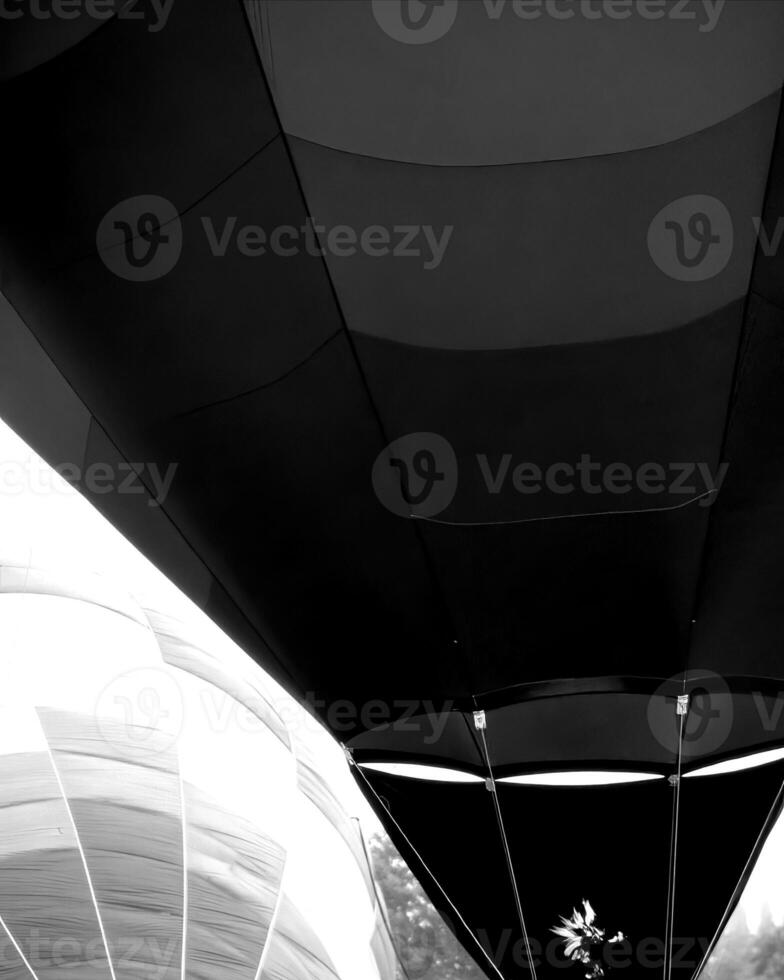 Black and white hot air balloons background photo