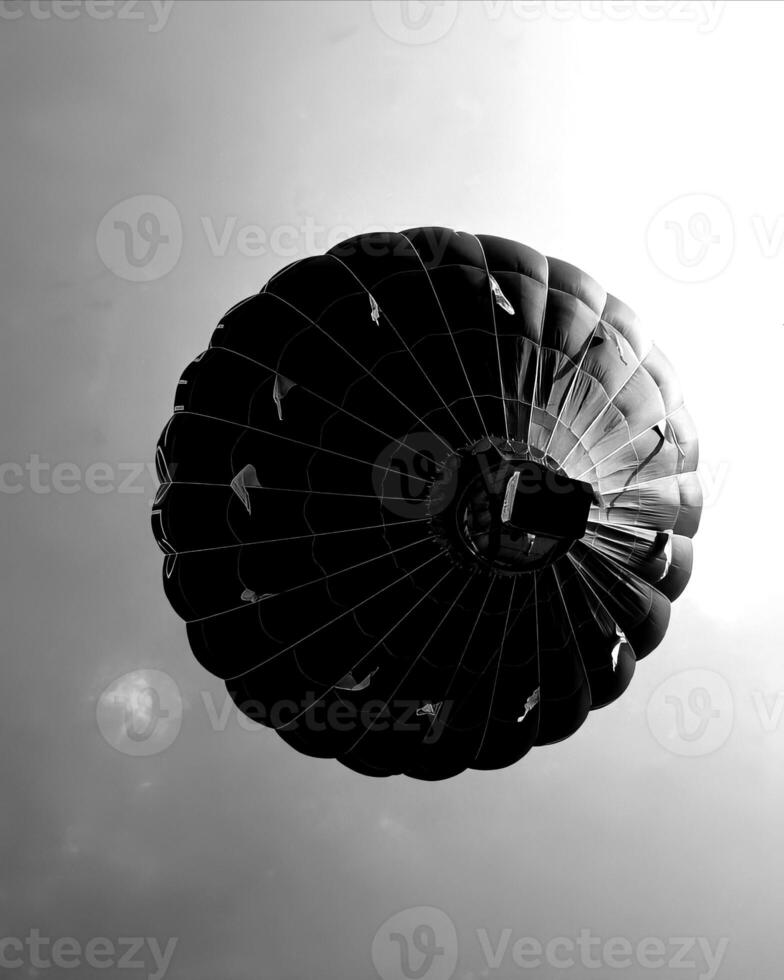 Black and white hot air balloons background photo