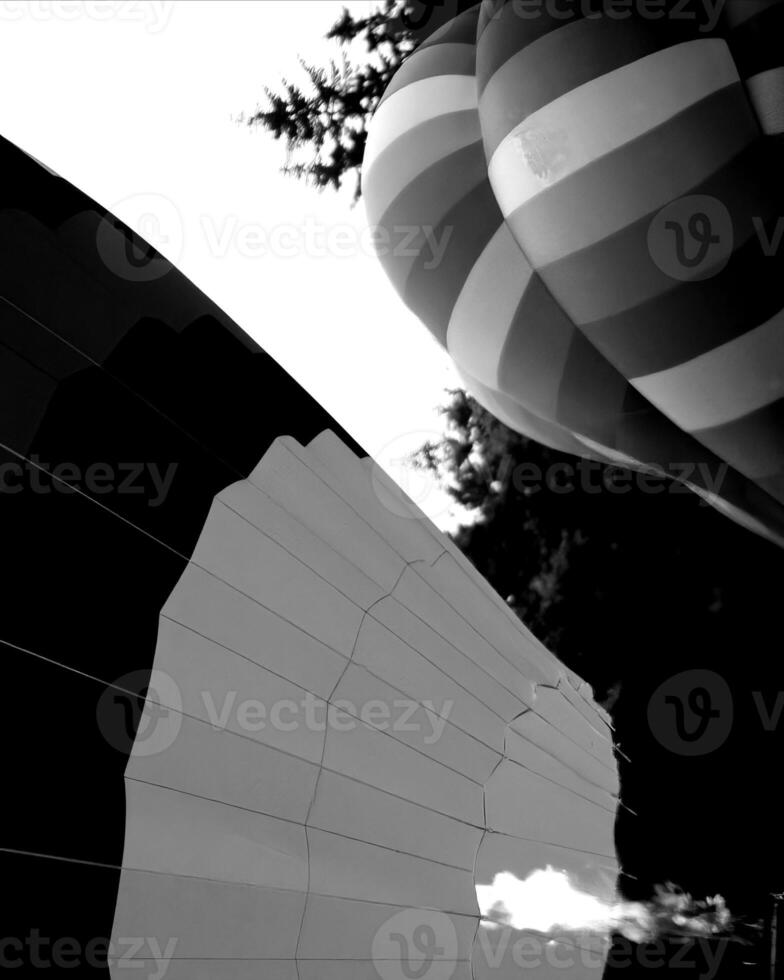 Black and white hot air balloons background photo