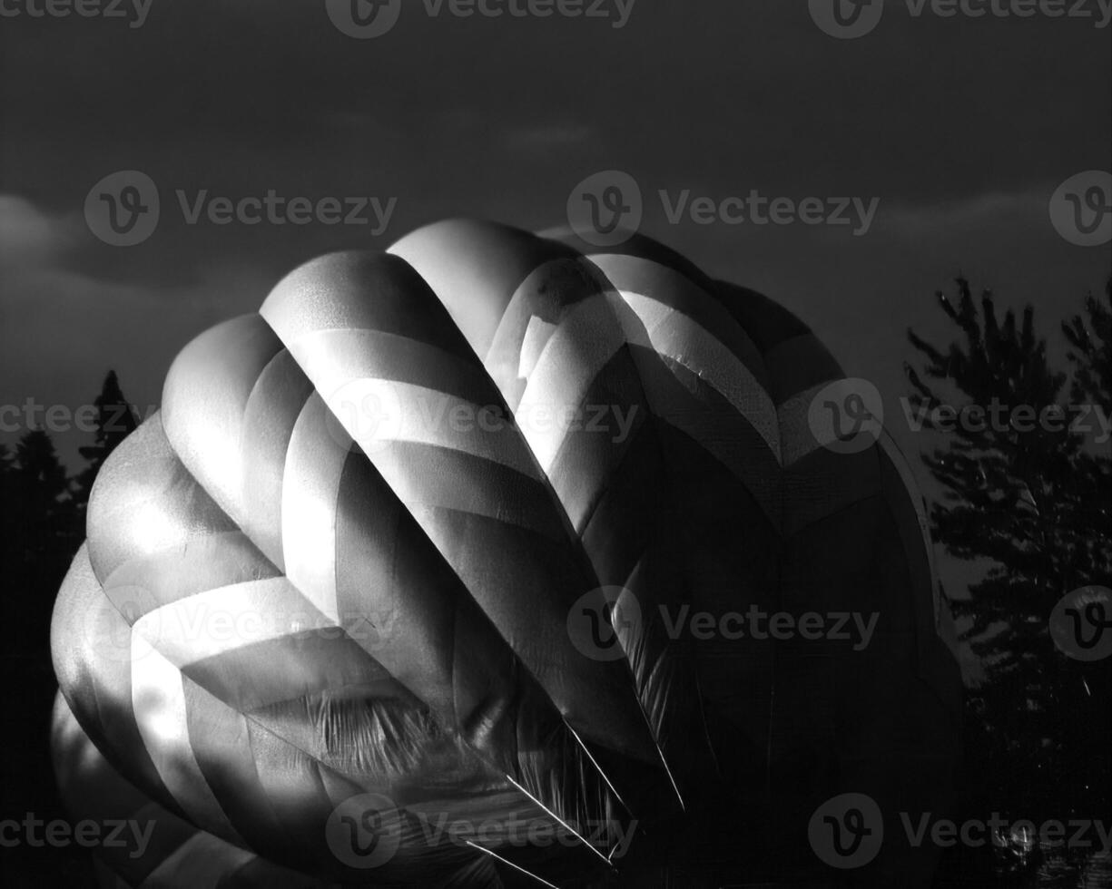 Black and white hot air balloons background photo