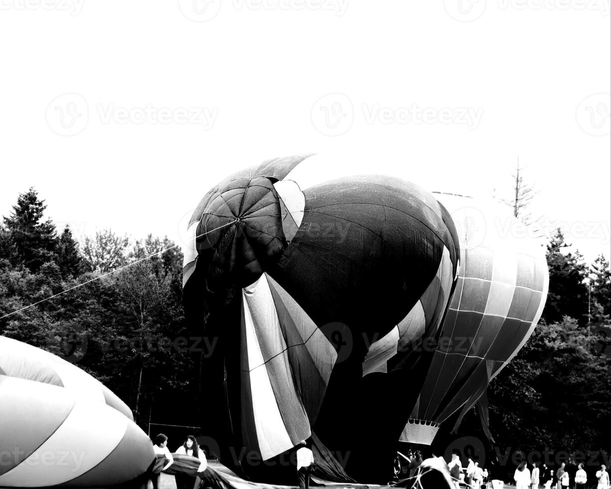 Black and white hot air balloons background photo