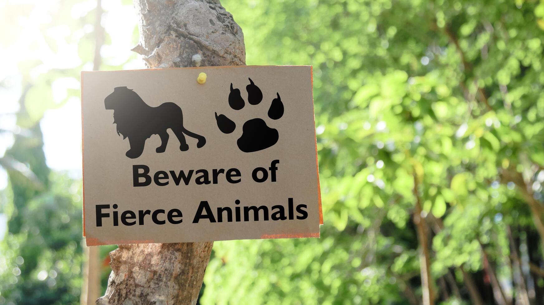 Illustrated with a black lion and a black tiger paw print the paper sign prominently displays the words Beware of fierce Animals photo
