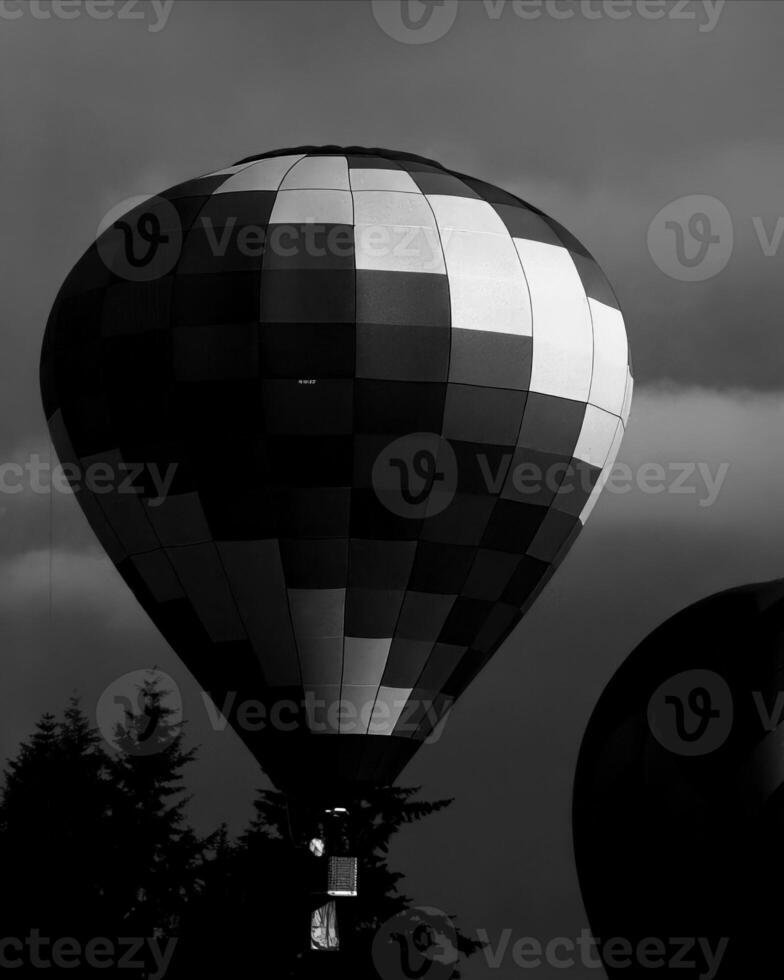 Black and white hot air balloons background photo