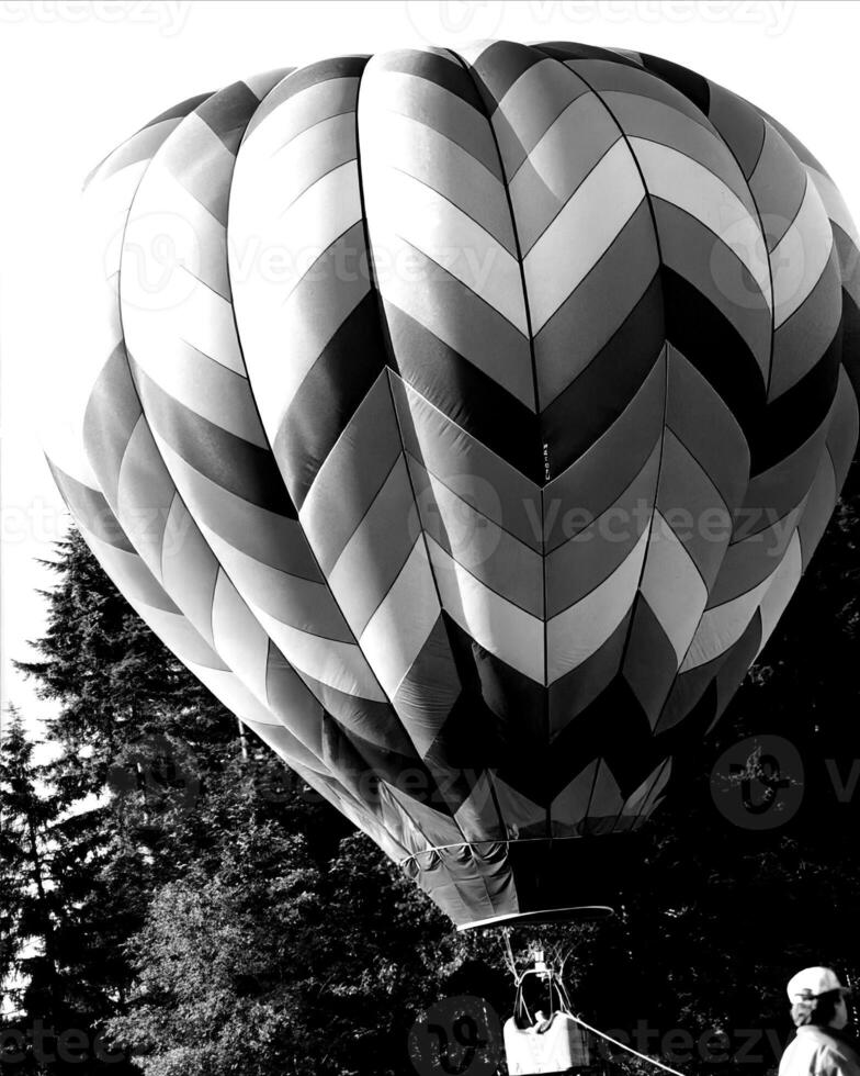 Black and white hot air balloons background photo