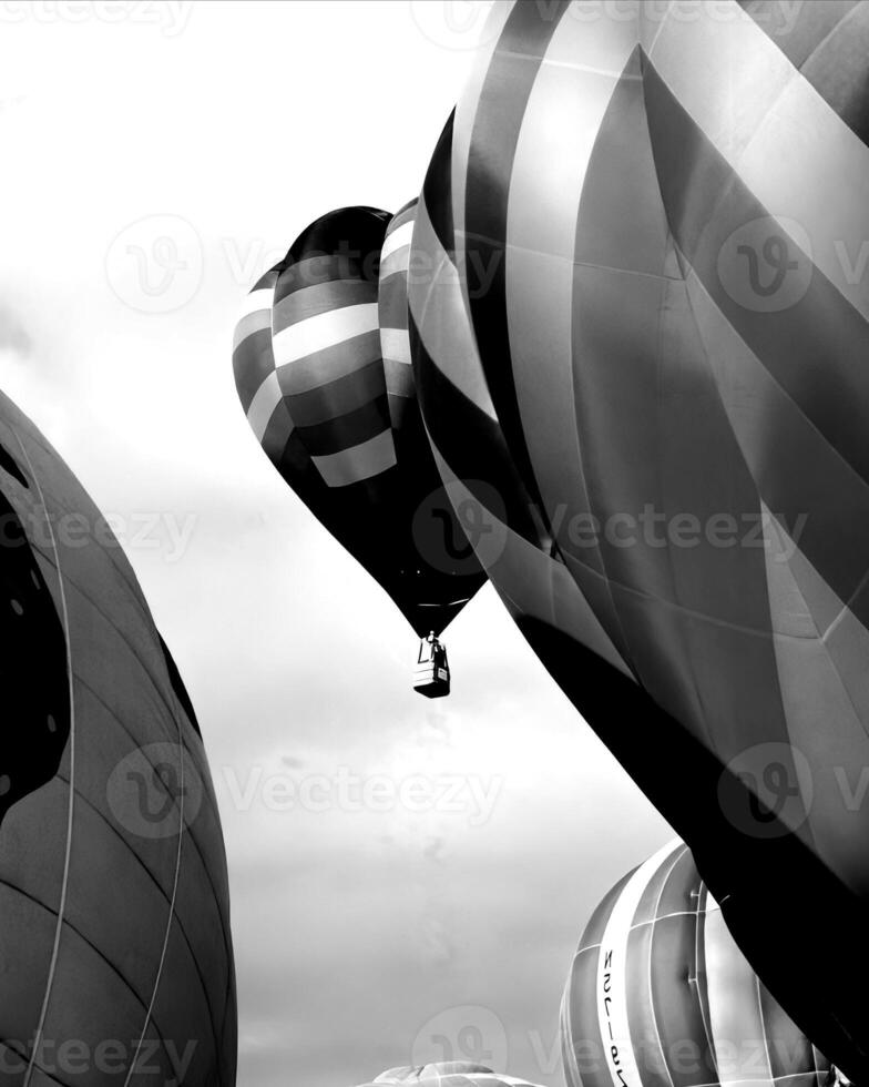 Black and white hot air balloons background photo