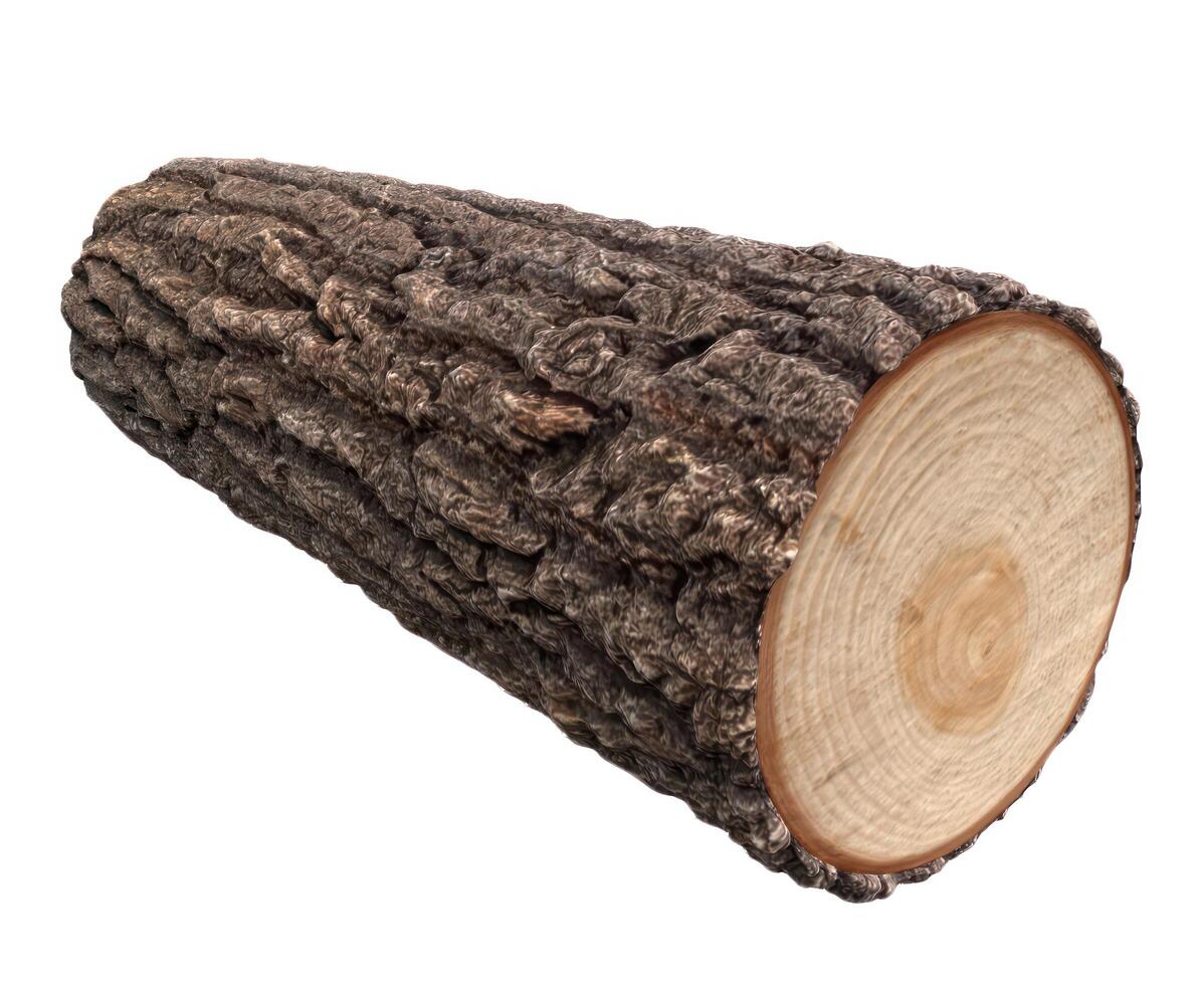 Pine Tree wood stumps on ground after being cut with real wood texture background. photo