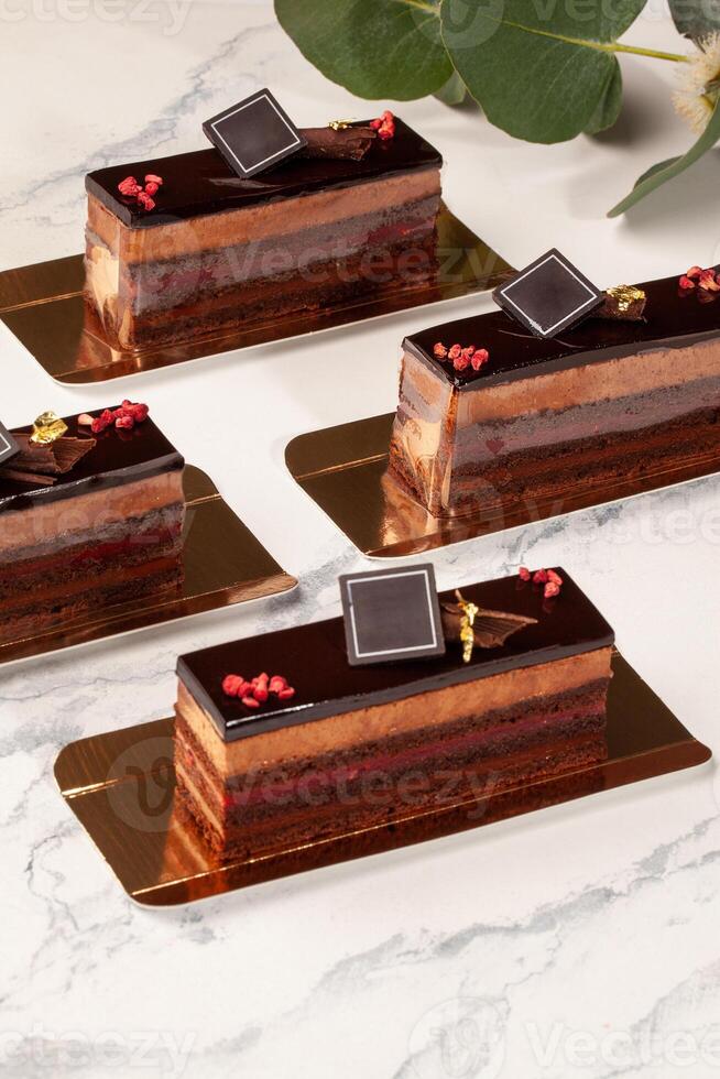 Slices of chocolate cake with mousse, raspberry jelly, ganache and candied berries photo