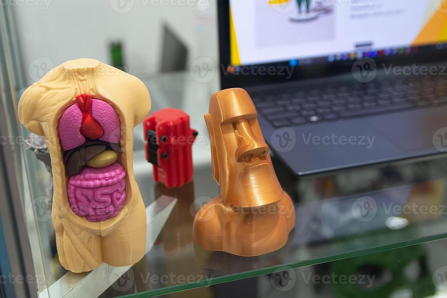 Human anatomical model made using 3D printing technology photo