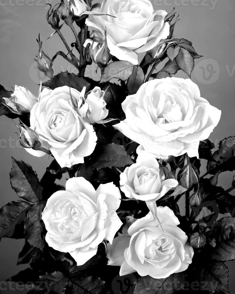 Flowers black and white photo background. Summer flowers close view