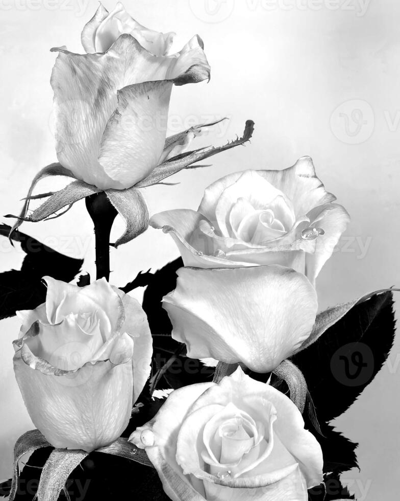 Flowers black and white photo background. Summer flowers close view