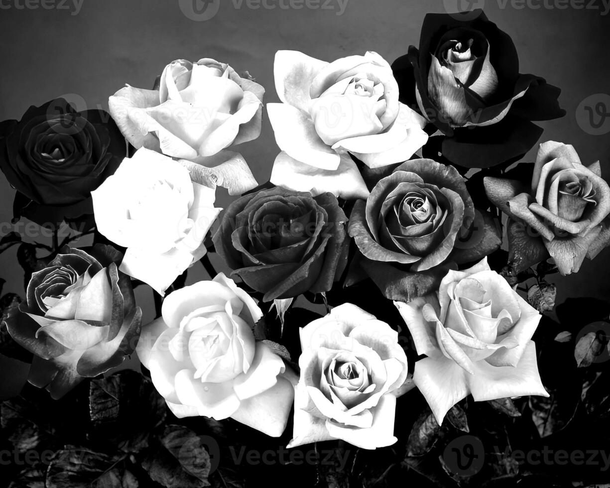 Flowers black and white photo background. Summer flowers close view