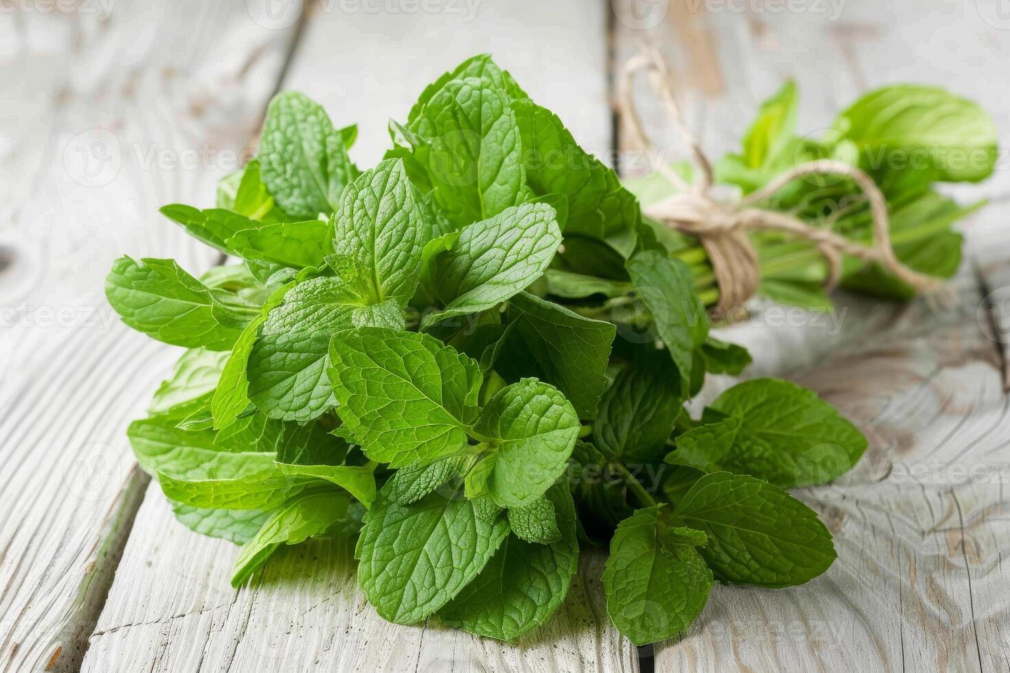 Close-up shot of fresh peppermint leaves, used in essential oils for their cooling and revitalizing properties, and a common traditional remedy for digestion photo